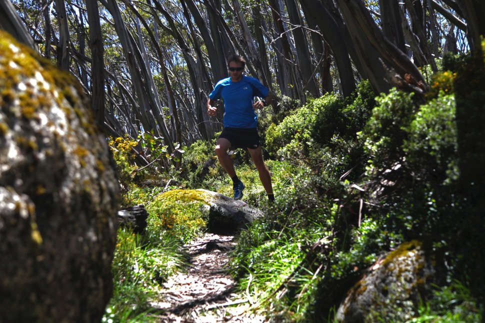 Trail Run Fest for Baw Baw - TrailRun Magazine